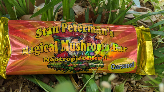 "Magical" Mushroom Chocolate Bars image 0